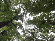 Онлайн-эровидеочат с SEKSI-DAMA на BongaCams 2022-06-23 19_48