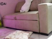reddfoxxy