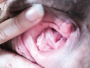 YOUR-SECRET 03.06.2023