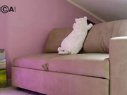 reddfoxxy