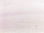 hairycrotch