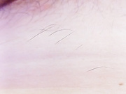 hairycrotch