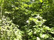 Hotgirls221 04.06.2023