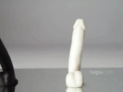 ДВЕ МОДЕЛИ ПРИМИРЯЮТ