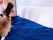 kittycaitlin