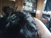 Marvin050505 08.06.2023