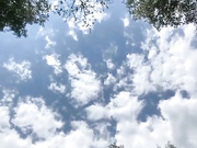 alexa-18
