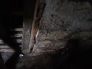 Dimasik402 10.06.2023