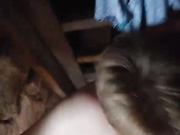 Dimasik402 10.06.2023