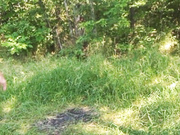 GlobalPrikol 07.06.2023