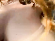 Didihairypussy бесплатное вебкам шоу и XXX чат _ xHamsterLive 2023-06-13 17_20