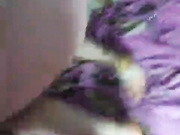 Sugarpussy12cm