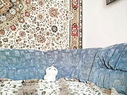 VikiKonfetka