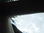 ToxicTiger 18.06.2023