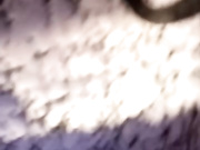 Latin_summer бесплатное вебкам шоу и XXX чат _ xHamsterLive 2023-04-14 02_26