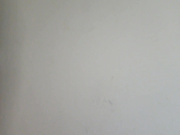 Lisi4ka-Basik 24.06.2023