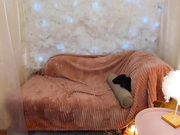 PlushCatt