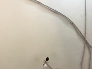 Онлайн-эровидеочат с Milaa1998 на BongaCams 2023-06-30 14_41