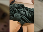 dikaya_koshka_ADAAAAA