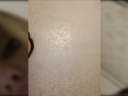 dikaya_koshka_ADAAAAA