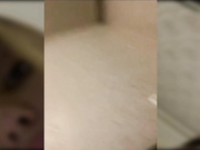 dikaya_koshka_ADAAAAA