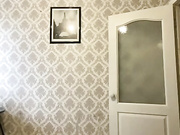 dikaya_koshka_ADAAAAA