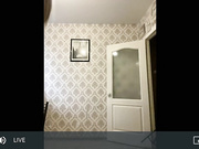 dikaya_koshka_ADAAAAA