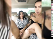 YourArina