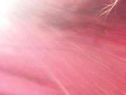 josephmariella69