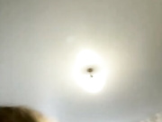 dikaya_koshka_ADAAAAA