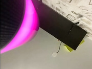 dikaya_koshka_ADAAAAA