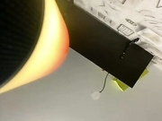 dikaya_koshka_ADAAAAA