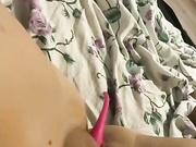 dikaya_koshka_ADAAAAA