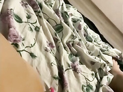 dikaya_koshka_ADAAAAA