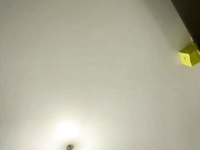 dikaya_koshka_ADAAAAA