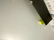 dikaya_koshka_ADAAAAA