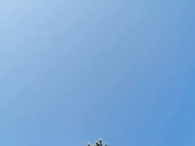 CrazyBunnys 22.07.2023