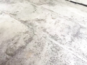 Angelo4ek-Mashulya 24.07.2023