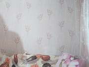 Dinochka38 26.07.2023