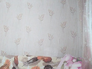 Dinochka38 26.07.2023