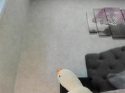 sexkisa777