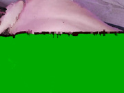 santiago_and_lana