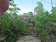 LyubavaMilf 30.07.2023