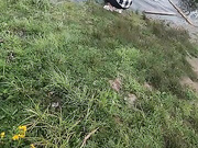 Онлайн-эровидеочат с AnzhelAlex на BongaCams 2023-07-24 19_54