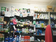 Онлайн-эровидеочат с SwEEt-n0rtheR на BongaCams 2023-08-08 14_54