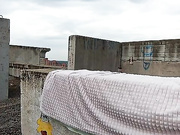 CrazyBunnys 11.08.2023