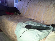 Онлайн-эровидеочат с larara на BongaCams 2023-08-11 19_15