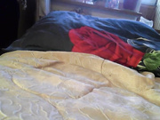 Онлайн-эровидеочат с larara на BongaCams 2023-08-11 18_44