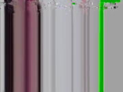 isilverfox_29.12