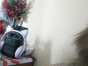 Lilo-Stitch 02.02.2024